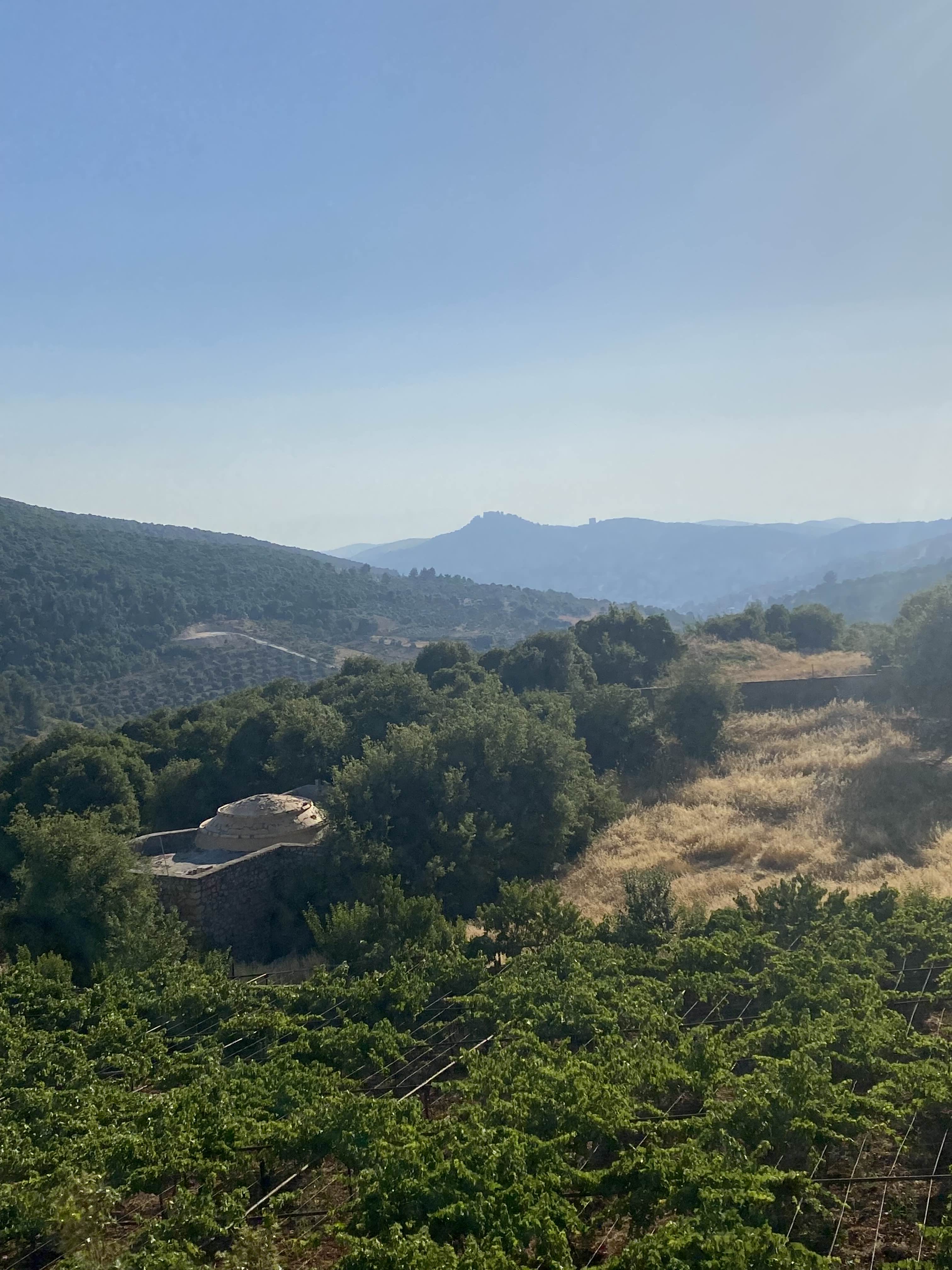 Ajlun’s Hills