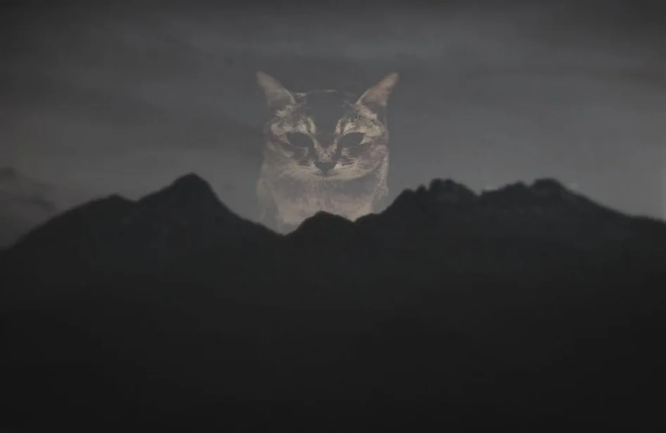 meimeievil